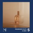 5 Fragrance Fact 2024