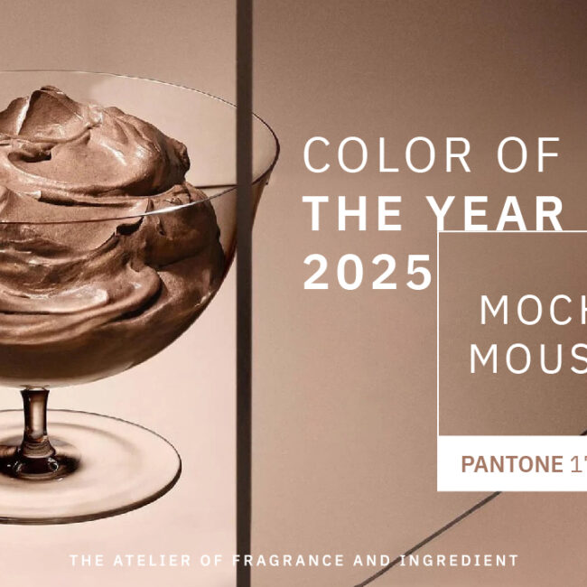 PANTONE MOCHA MOUSESE 01